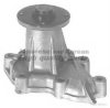 ASHUKI N513-19 Water Pump